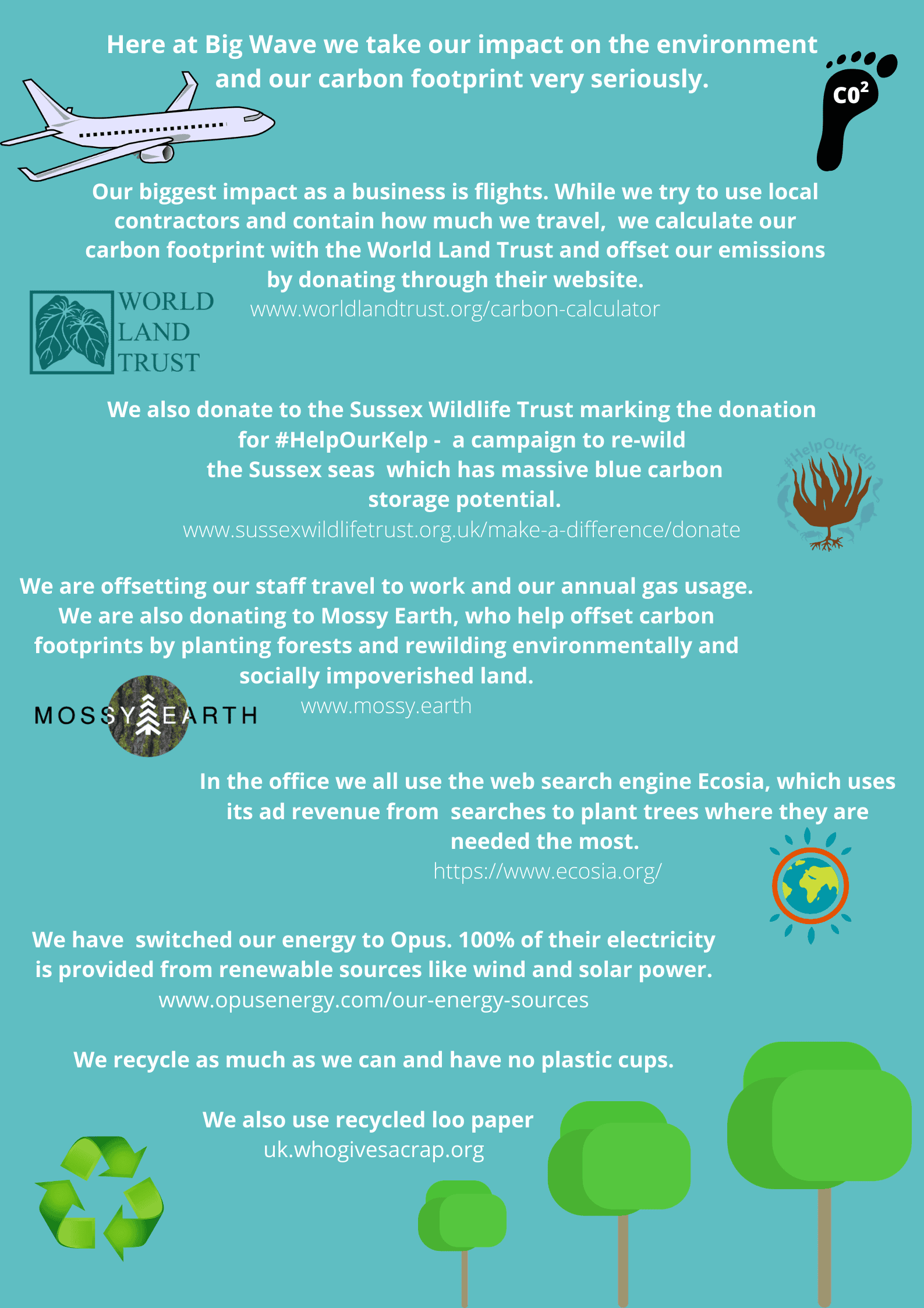Big Wave environment statement 2