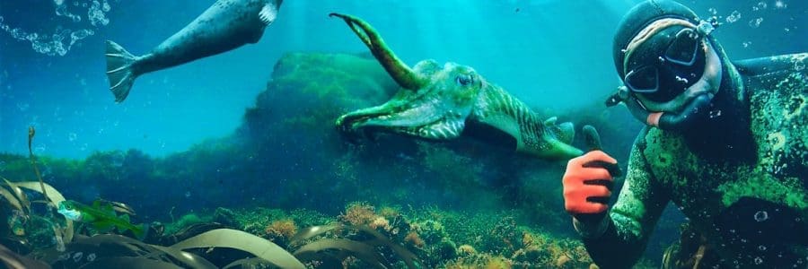 Our Sea Forest Wins Best Short Film at Environmental Film & Screenplay Festival
